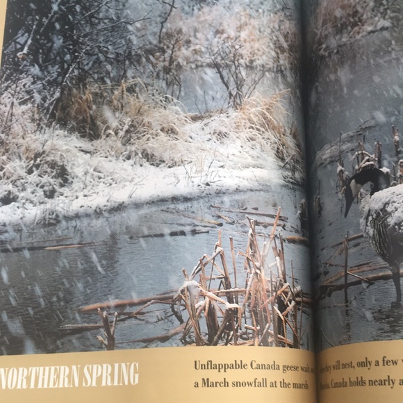 National Geographic Vol. 182 No. 4 October 1992 - Picture 8 of 14